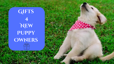 Cute Gifts for New Puppy Owners: Thoughtful & Personalized