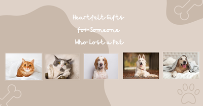 Heartfelt Gifts for Someone Who Lost a Pet ❤️