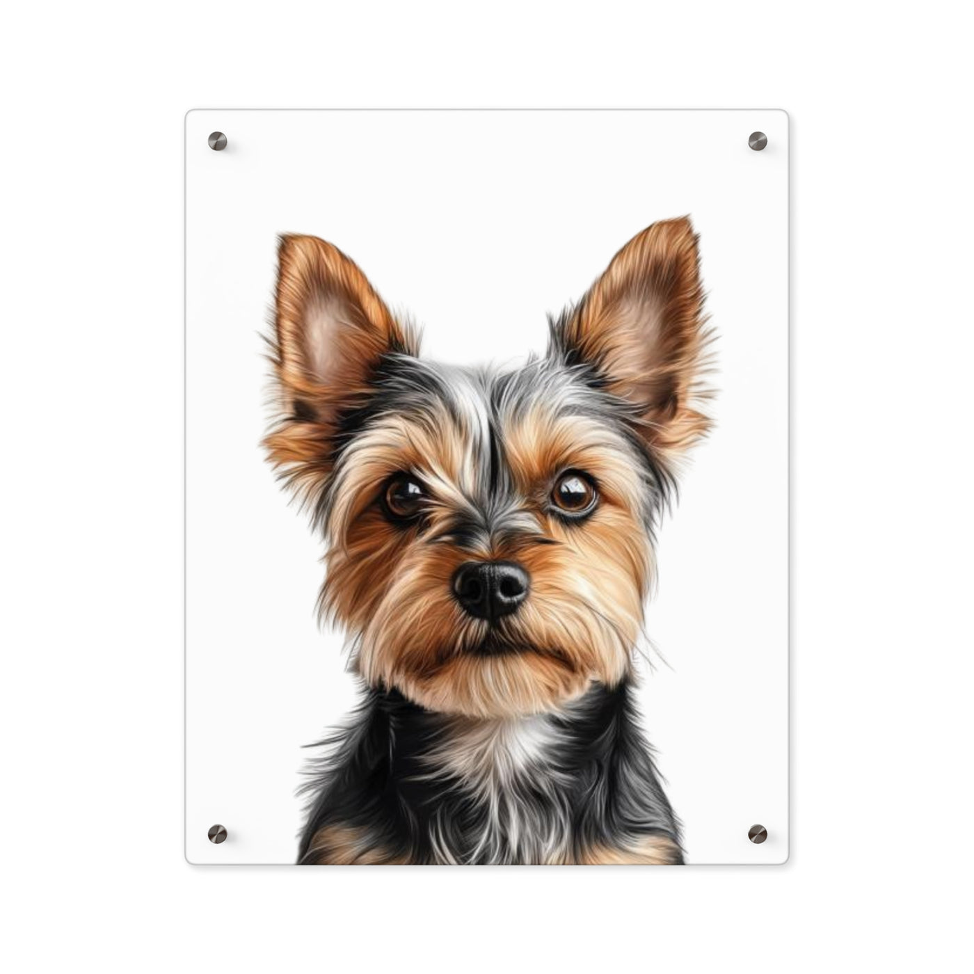 Acrylic Print, Custom Photo Print
