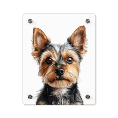 Acrylic Print, Custom Photo Print