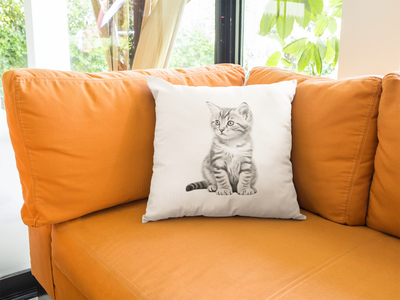 Cat Pillow
