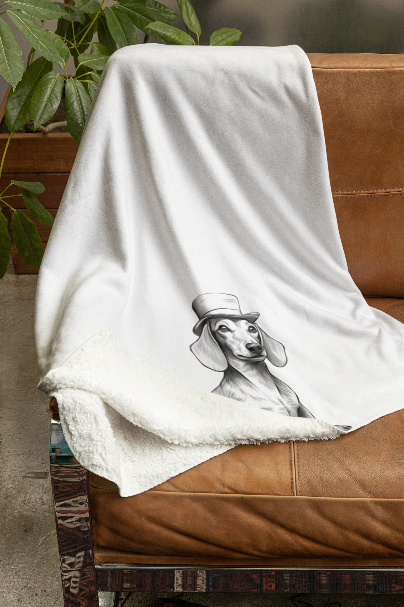 Dachshund Blanket