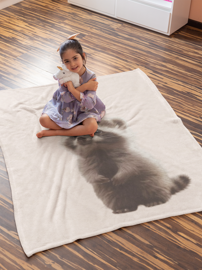 Racoon Blanket